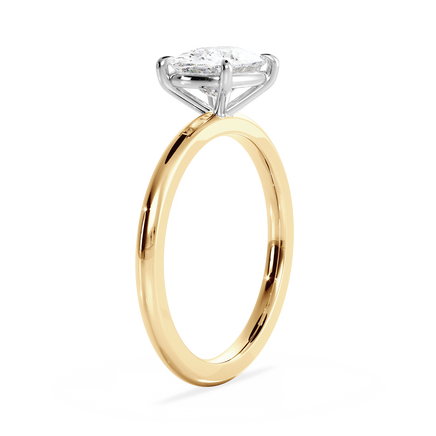 Base Ring - 020300021201010000000000