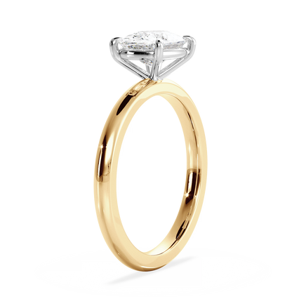 Base Ring - 020300021201030000000000