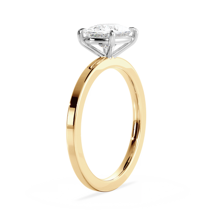 Base Ring - 020300021202040000000000