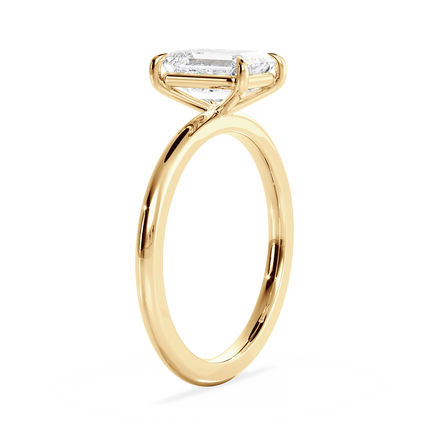 Base Ring - 020400010401010000000000