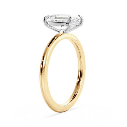 Base Ring - 020400011201010000000000