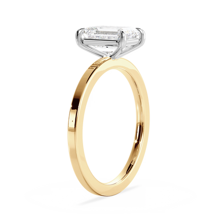 Base Ring - 020400011202040000000000