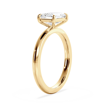 Base Ring - 020400020401030000000000