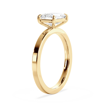 Base Ring - 020400020402060000000000
