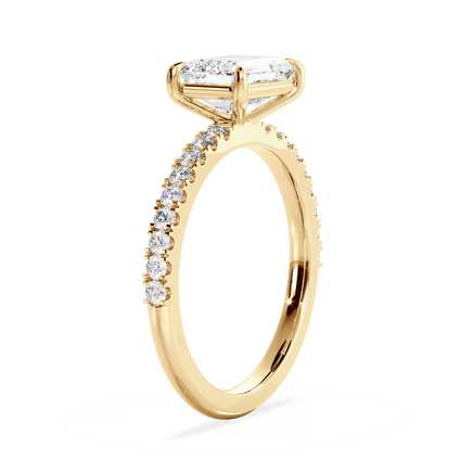 Base Ring - 020400020403070100000000