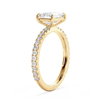 Base Ring - 020400020403110500000000