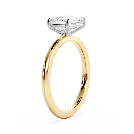 Base Ring - 020400021201010000000000