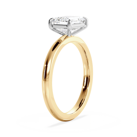 Base Ring - 020400021201030000000000