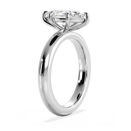 Base Ring - 020500010106100000000000