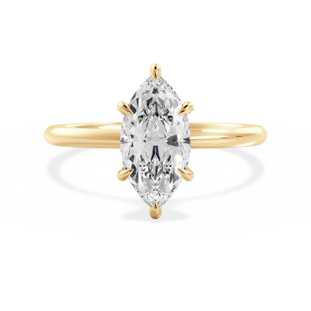 Base Ring - 020500010401010000000000