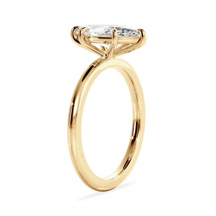 Base Ring - 020500010401010000000000
