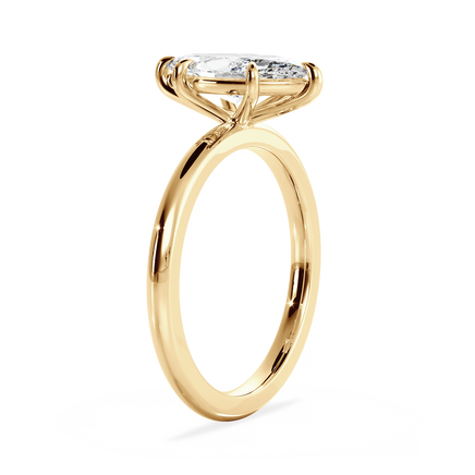 Base Ring - 020500010401020000000000