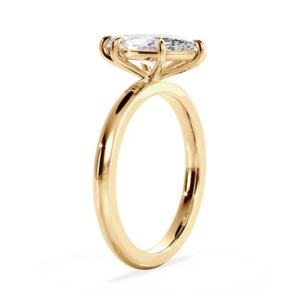 Base Ring - 020500010401030000000000