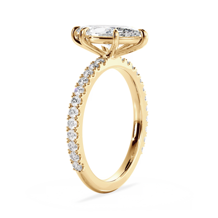 Base Ring - 020500010403070200000000