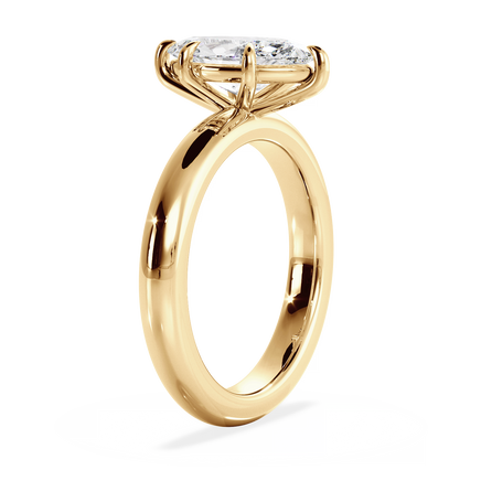 Base Ring - 020500010406100000000000