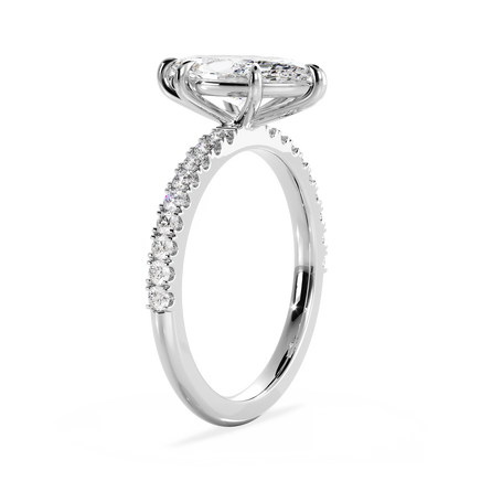Base Ring - 020500010703070100000000