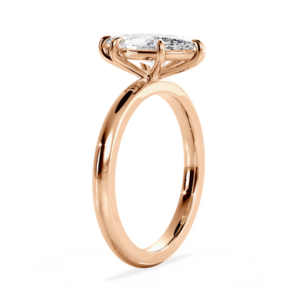 Base Ring - 020500011001030000000000