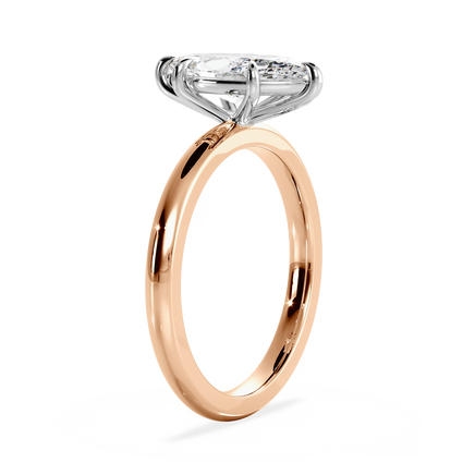 Base Ring - 020500011101030000000000