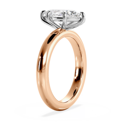 Base Ring - 020500011106100000000000