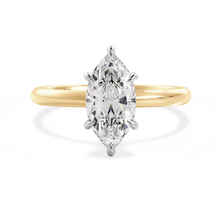 Base Ring - 020500011201030000000000