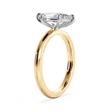 Base Ring - 020500011201030000000000