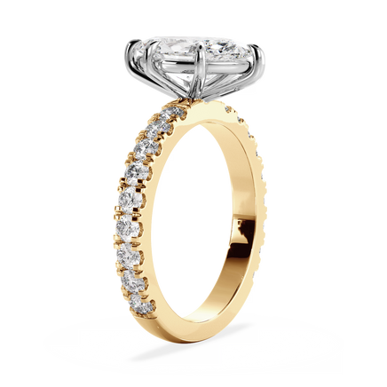 Base Ring - 020500011204080400000000