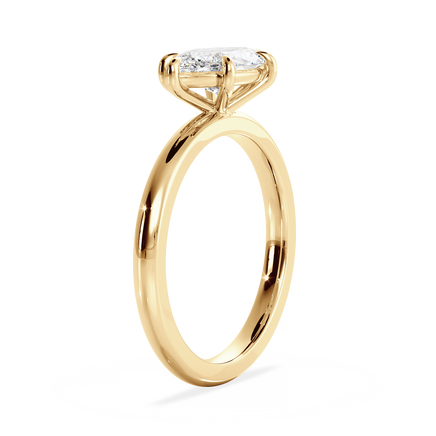 Base Ring - 020500020401030000000000