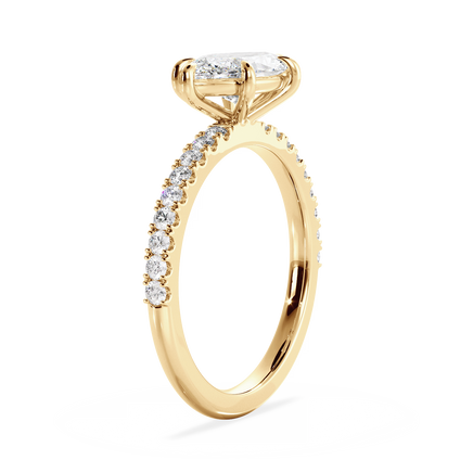 Base Ring - 020500020403070100000000