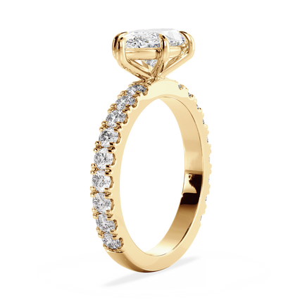 Base Ring - 020500020404080400000000