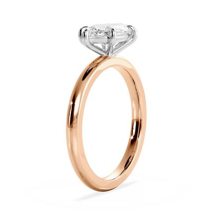 Base Ring - 020500021101030000000000