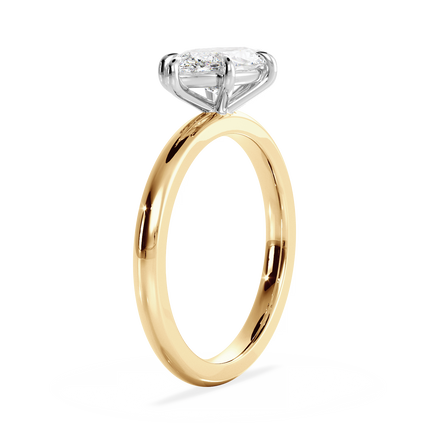 Base Ring - 020500021201030000000000