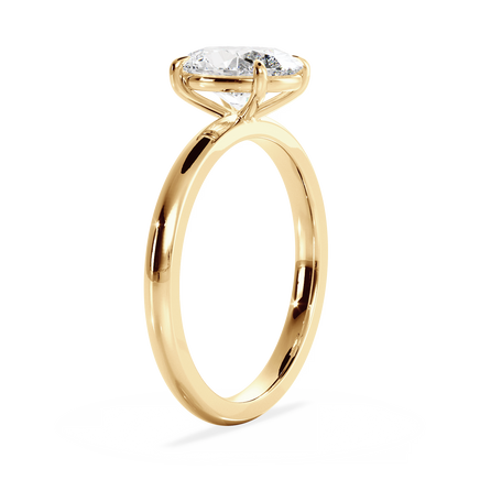 Base Ring - 020600010401030000000000