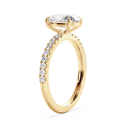 Base Ring - 020600010403070100000000