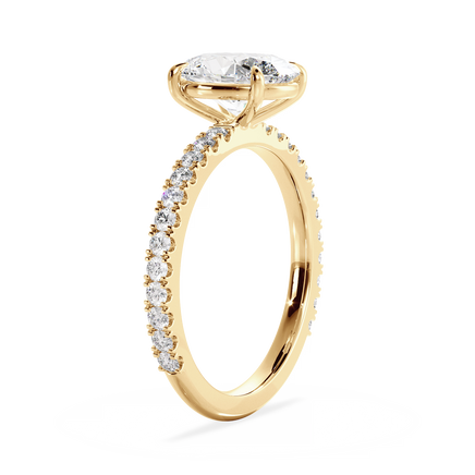 Base Ring - 020600010403110600000000