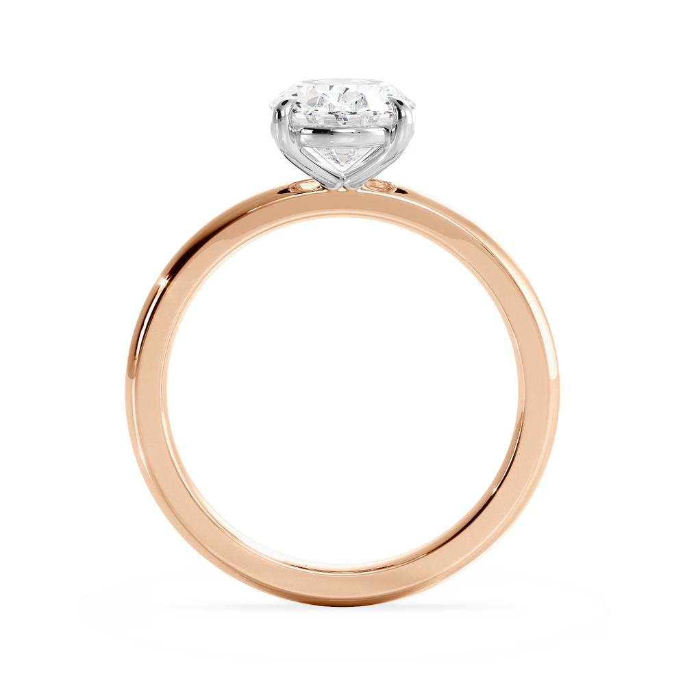 Base Ring - 020600011101010000000000 - View 