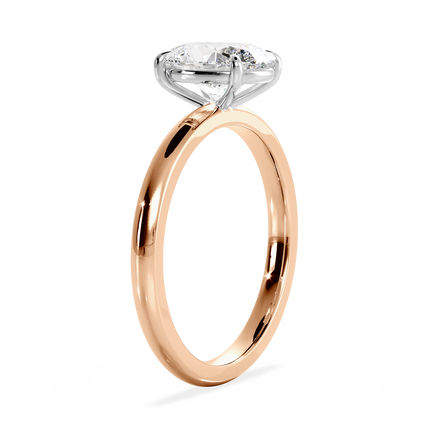 Base Ring - 020600011101030000000000