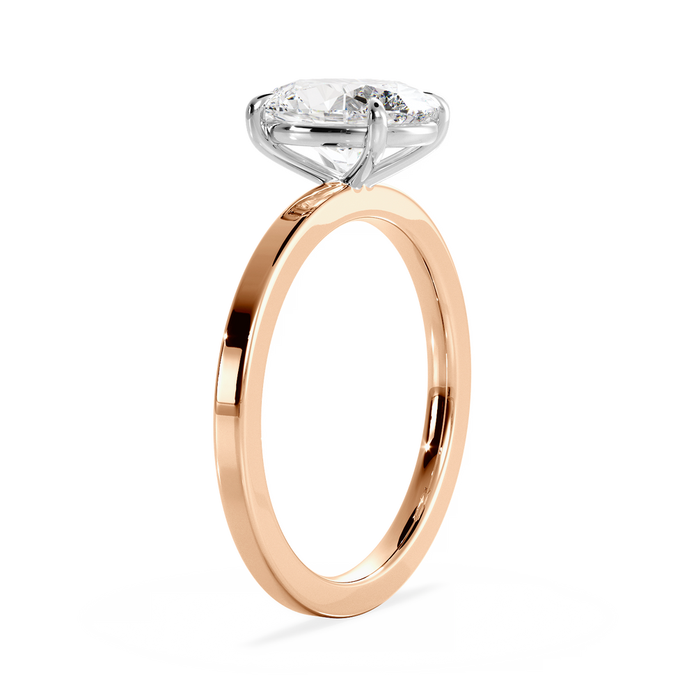 Base Ring - 020600011102040000000000 - View 