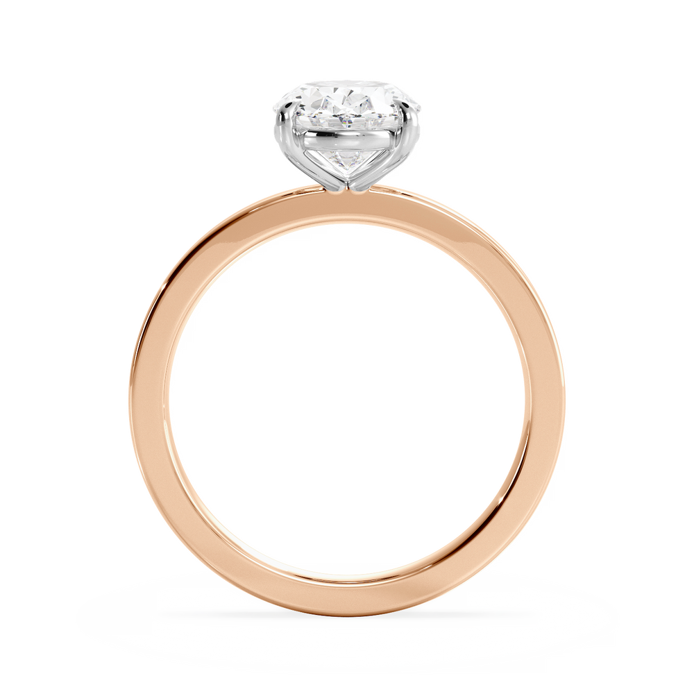 Base Ring - 020600011102040000000000 - View 