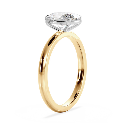 Base Ring - 020600011201030000000000