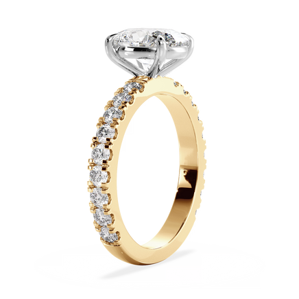 Base Ring - 020600011204080400000000