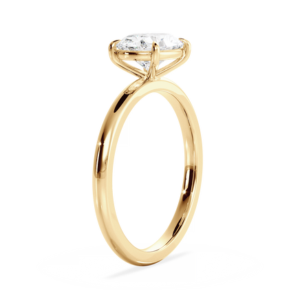 Base Ring - 020600020401020000000000