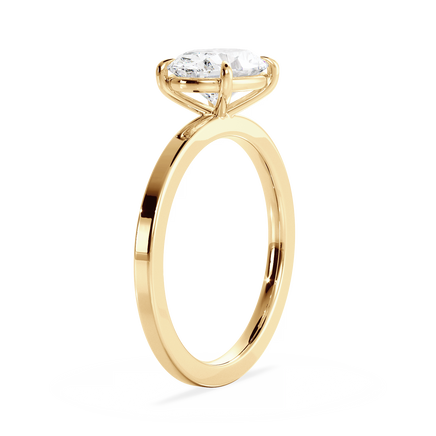 Base Ring - 020600020402040000000000