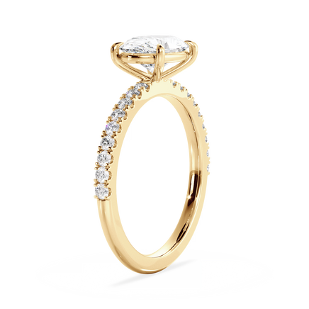 Base Ring - 020600020403070100000000