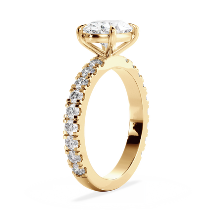 Base Ring - 020600020404120800000000