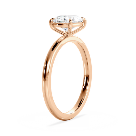 Base Ring - 020600021001020000000000
