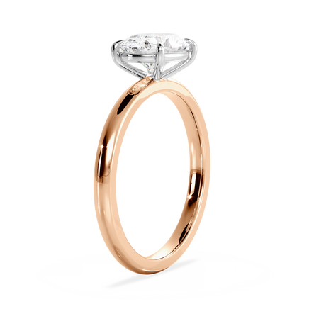 Base Ring - 020600021101030000000000
