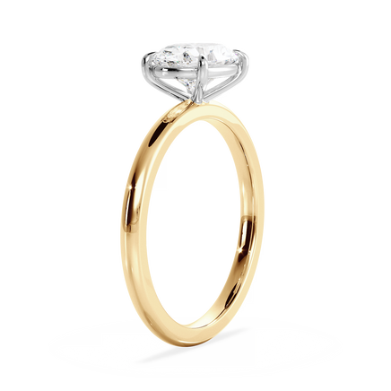 Base Ring - 020600021201020000000000