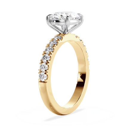 Base Ring - 020600021204080300000000