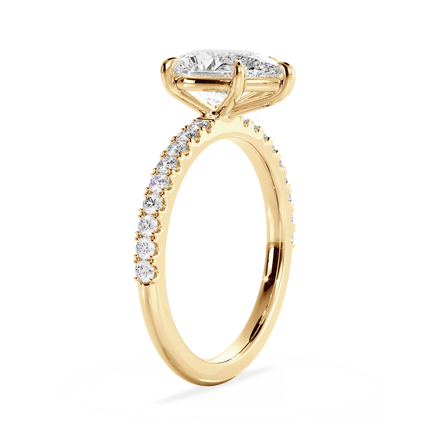 Base Ring - 020700010403070100000000