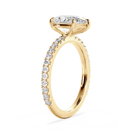 Base Ring - 020700010403110600000000
